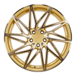 KT20 Gold Front Polish 8.5x19